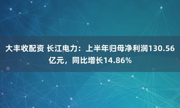 大丰收配资 长江电力：上半年归母净利润130.56亿元，同比增长14.86%