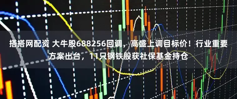 搭搭网配资 大牛股688256回调，高盛上调目标价！行业重要方案出台，11只钢铁股获社保基金持仓