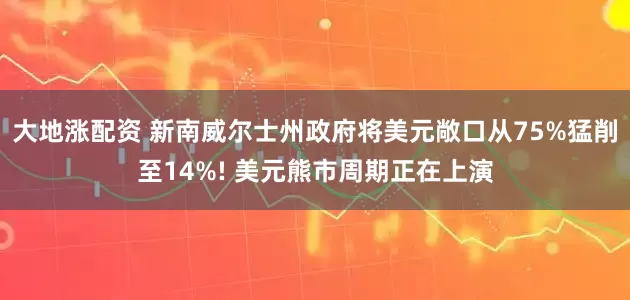 大地涨配资 新南威尔士州政府将美元敞口从75%猛削至14%! 美元熊市周期正在上演
